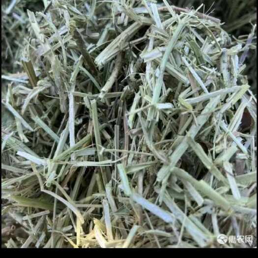 赵县花生秧草料，秸秆饲料，牛羊马驴鹿驼草料，无土，土尘，无膜