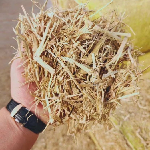 赵县全国最大的稻草生产厂家，铡断柔丝稻草，小方包，无土，无尘，