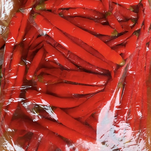 重庆市二荆条 泡红二荆条