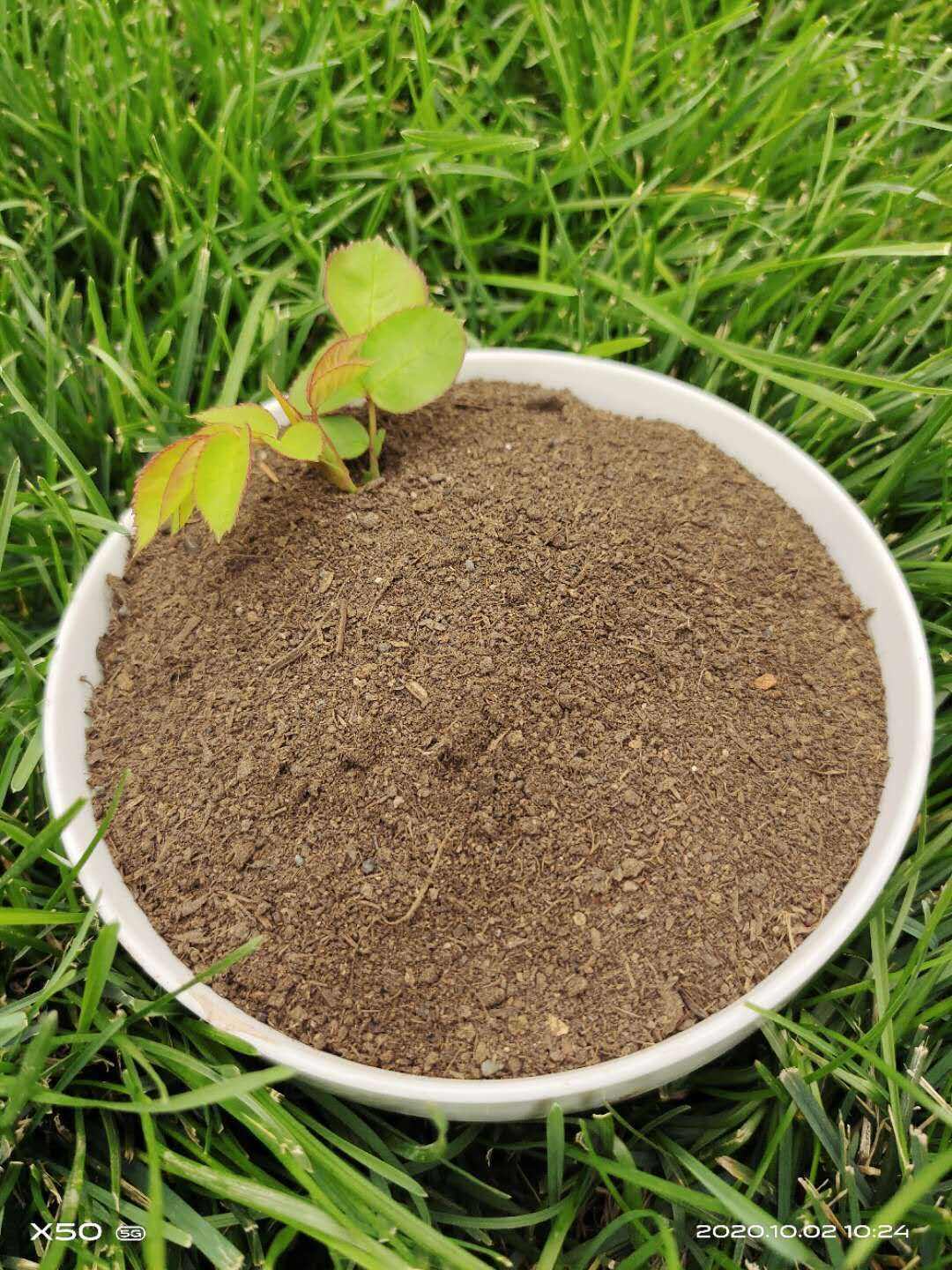 羊粪肥 高温腐熟 不烧根不烧苗 瓜果蔬菜可用