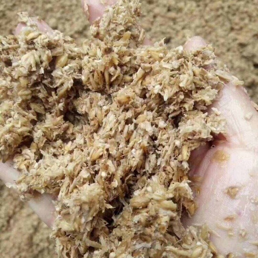 龙里县贵州龙里啤酒糟
