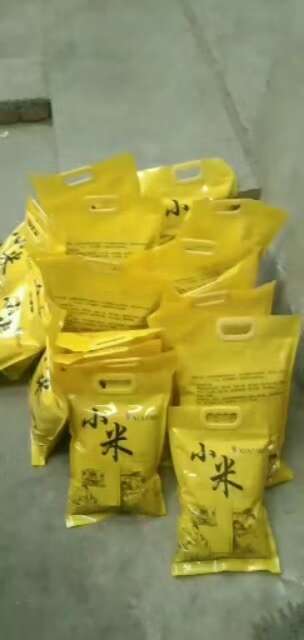 北京谷子，去年新谷子，以拉到通州，加工小米黄黏，熬粥香，