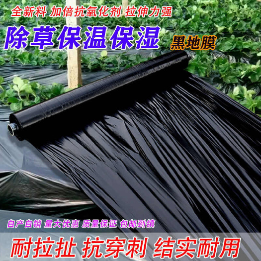 苏州【高品质】银黑地膜，白色地膜，黑色地膜果园除草蔬菜保湿大棚专