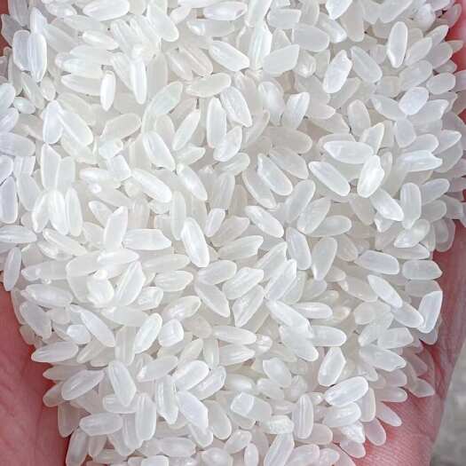 五常市五常长粒香大米，不含运费，不含包装出厂价