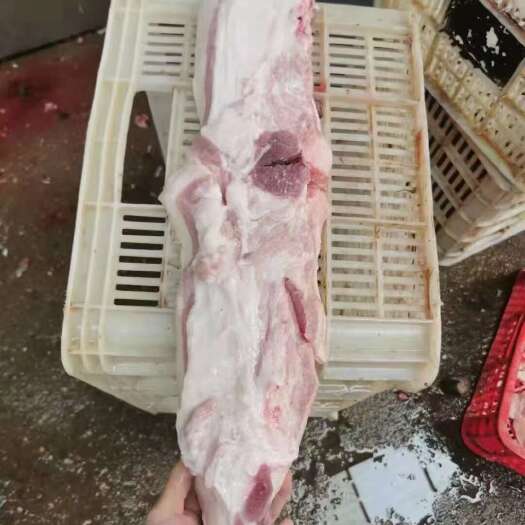 清丰县肥猪带皮槽头4-6