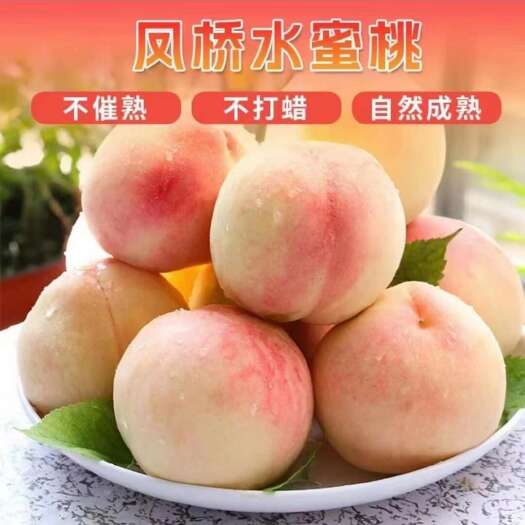 嘉兴凤桥水蜜桃，多汁，甜度高