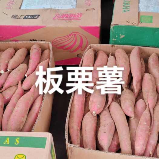 滦州市板栗薯口感粉糯香甜