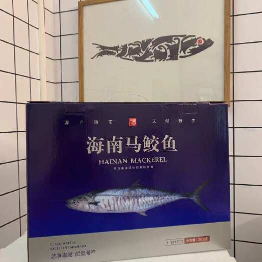 海南马鲛鱼礼盒装