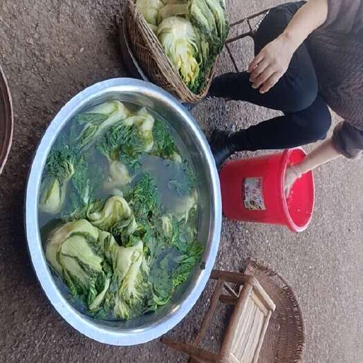 宣威市酸菜