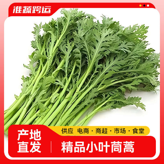 淮安精品茼蒿 江苏淮安茼蒿 产地直发 实力代办 全国发货 质量好