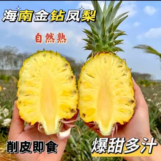 海南9斤金钻凤梨新鲜水果牛奶香水菠萝手撕无眼凤梨树熟大果包邮