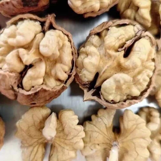 凤庆县云南泡核桃一级果