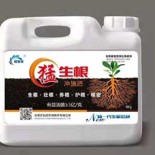 行唐县猛生根  生根壮苗肥