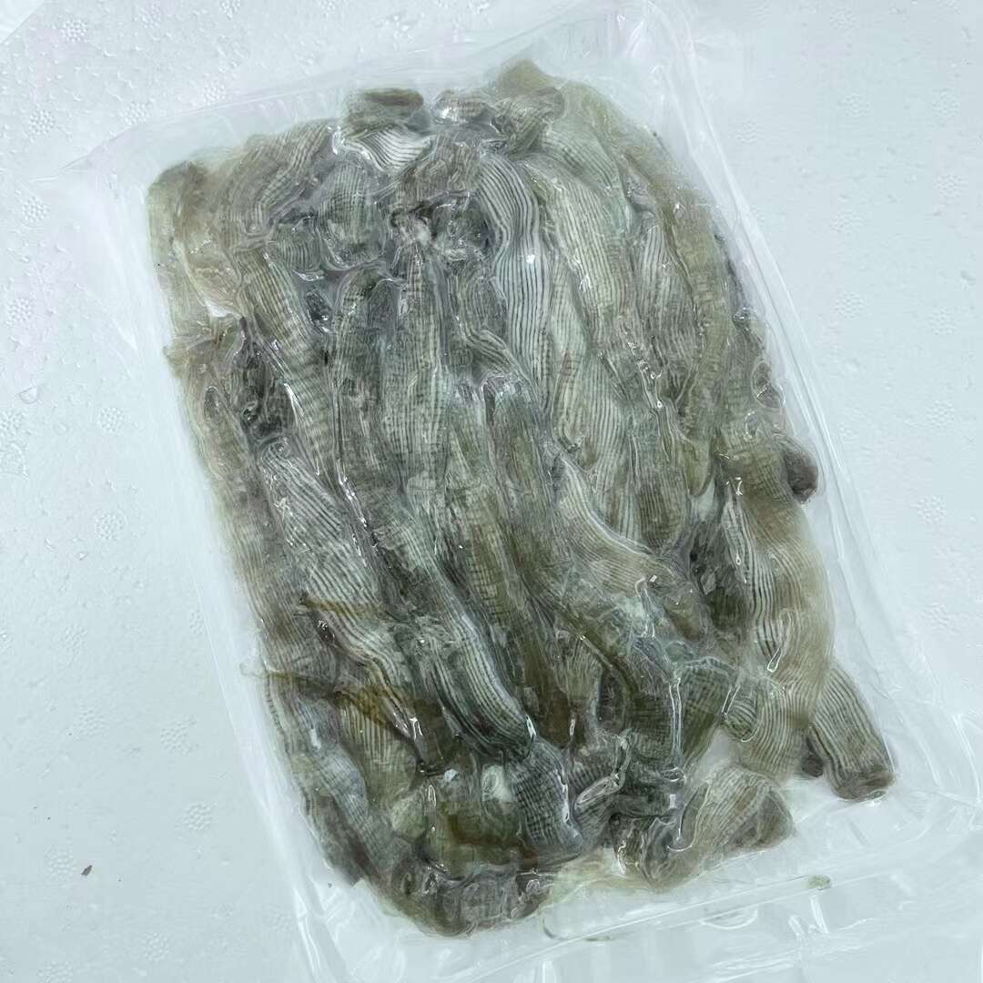 沙虫皮