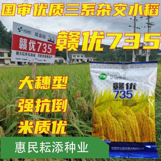 杂交水稻赣优735
