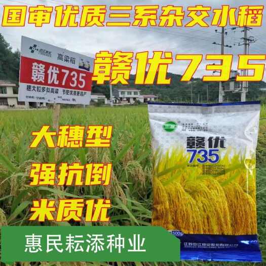 常德杂交水稻赣优735