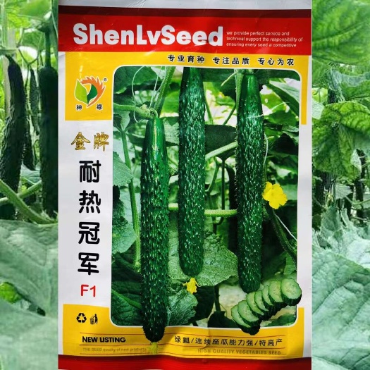 沭阳县金牌耐热冠军黄瓜种子早熟杂交强雌黑油亮型绿瓤丰产黄瓜种籽子