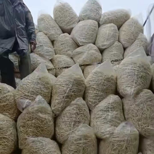 当阳市湖北当阳鱼腥草，折耳根