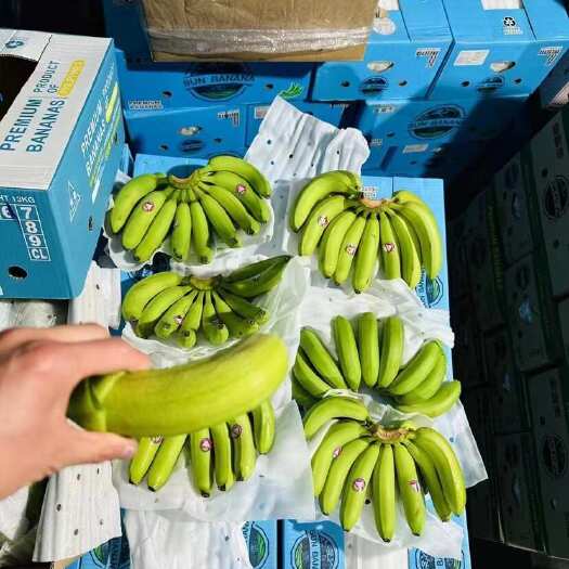 上海常年供应菲律宾香蕉，精品二级蕉