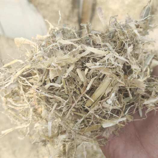 宁晋县玉米秸秆 小麦秸秆 稻草 牛羊鹿马饲料，厂家精品，大量出售