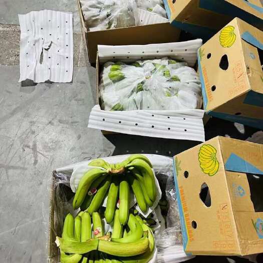 上海常年供应精品二级蕉，价格便宜，货比三家