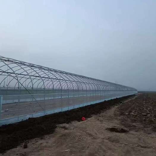 天津承接蔬菜棚，养殖棚，全国发货上门安装一站式服务