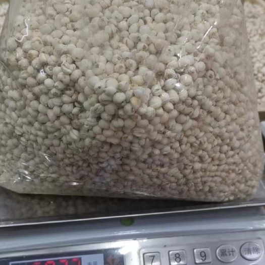 成都川贝批发