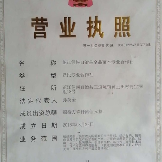 芷江县高山紫秋葡萄苗