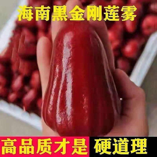 三亚黑金刚莲雾海南当季新鲜水果雾莲果整箱包邮现摘红莲雾批发