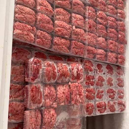 信丰县猪脑，猪脑一件96副！质量长期保证