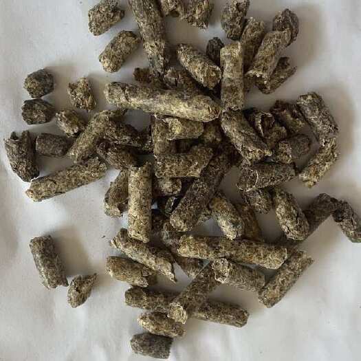  俄罗斯甜菜粕颗粒