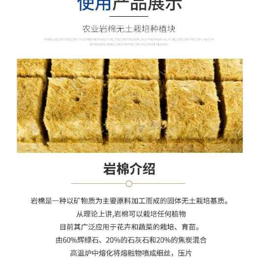 大城县用岩棉育苗无土栽培环保便捷懒人室内园艺大棚蔬菜水果种植岩棉