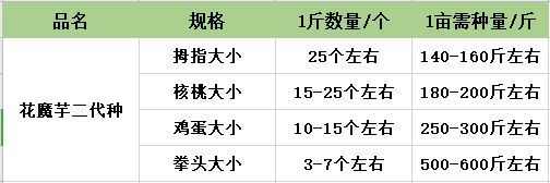 花魔芋一代二代基地供应脱水消毒技术指导