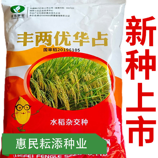 常德丰两优华占