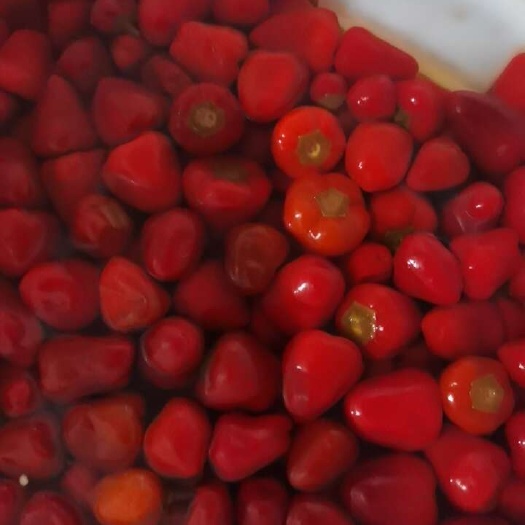 巴中泡椒草莓椒