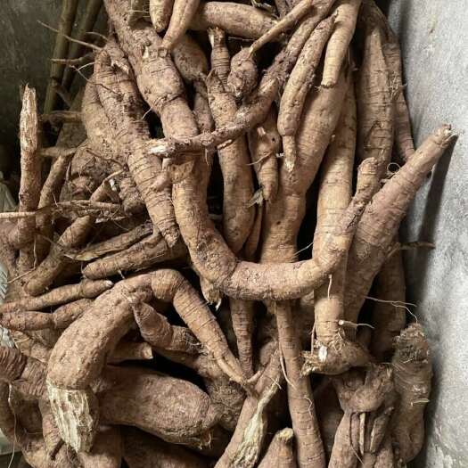 新县大别山纯正野生葛根粉