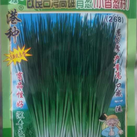 小香葱种子  改良品种葱管深青色，葱管厚，产量好