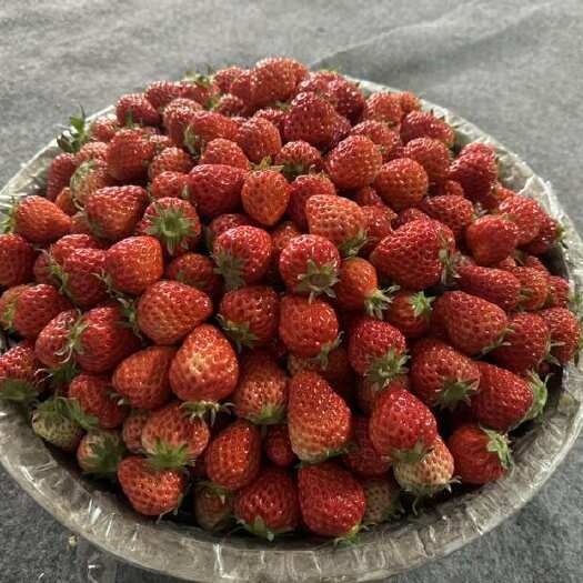 小草莓15克以下的果子