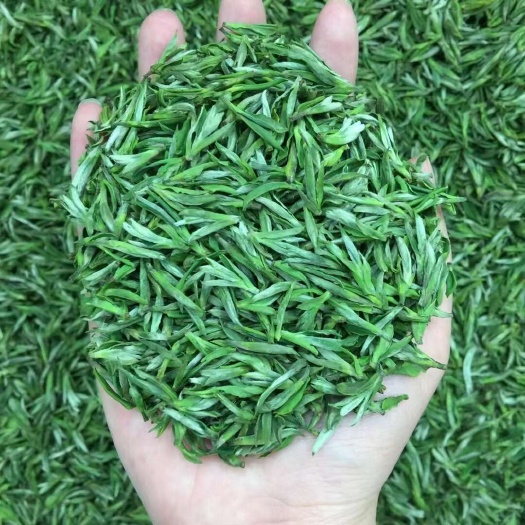 安溪县头采绿茶