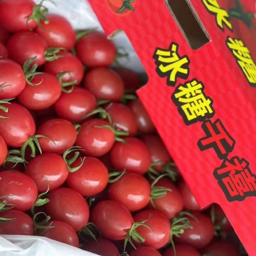 廉江市圣女果