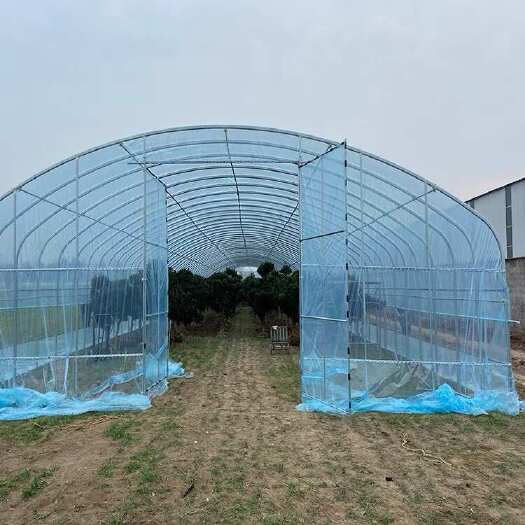 沭阳县定制生产各种养殖棚，种植棚，冷棚暖棚，联动蔬菜大棚