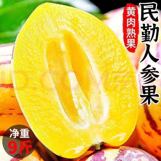 民勤县甘肃民勤人参果