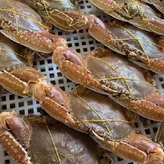 扁蟹 肉蟹排