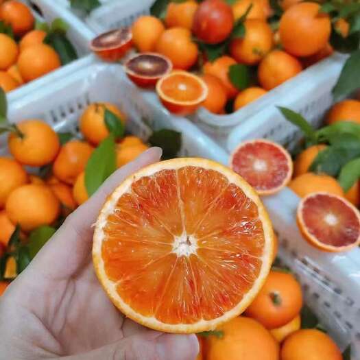 重庆市万州血橙好吃不贵