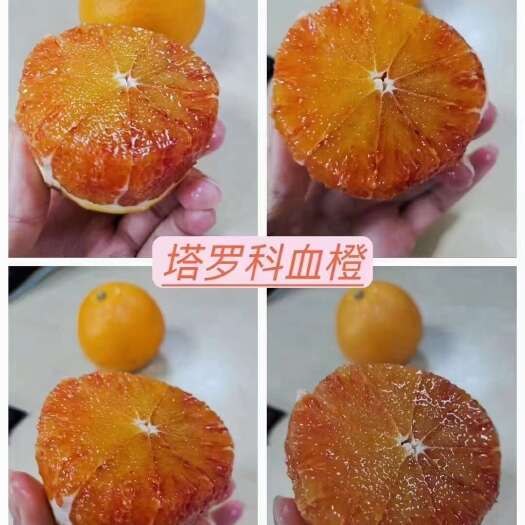 仁寿县四血橙