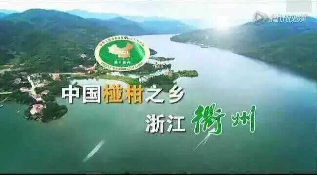 衢州衢州椪柑