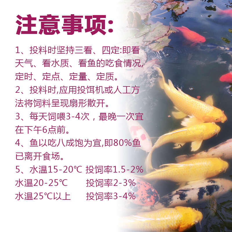 湖南混养鱼配合饲料长肉快体型好耐运输80斤