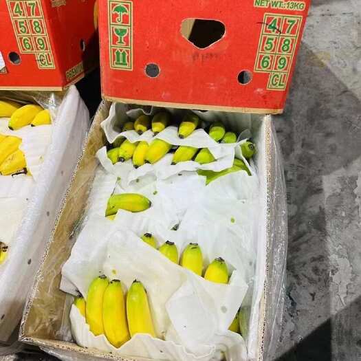 上海主要经营二级香蕉，保质保量，全国可发