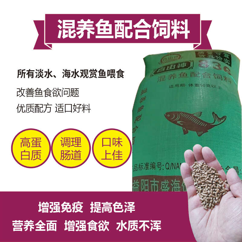 湖南混养鱼配合饲料长肉快体型好耐运输80斤