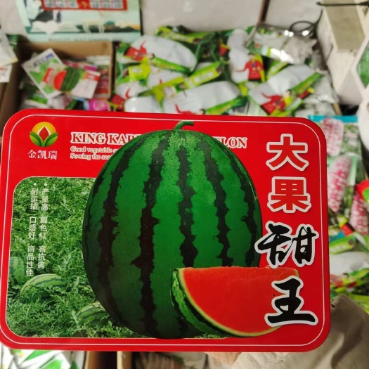 宿迁金凯瑞大果甜王西瓜种子中早熟大果西瓜种子